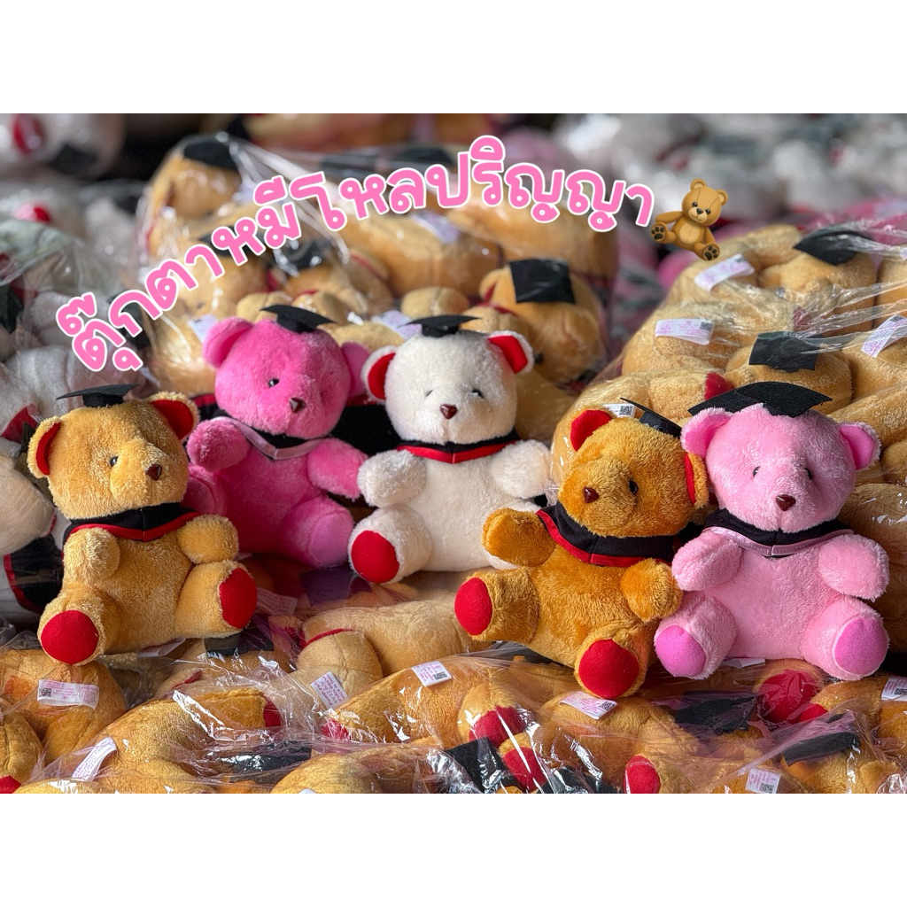 ตุ๊กตาหมีรับปริญญา ยกโหล12ตัว ขนาด8นิ้ว แจกเด็ก จัดช่อดอกไม้ งานสวยน่ารักมาก💕