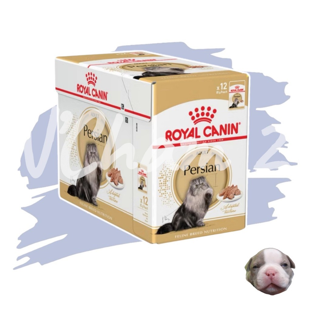 Royal canin Persian Adult 4kg อาหารแมวโตพันธุ์เปอร์เซีย อายุ 1ปีขึ้นไปExp:03/2027