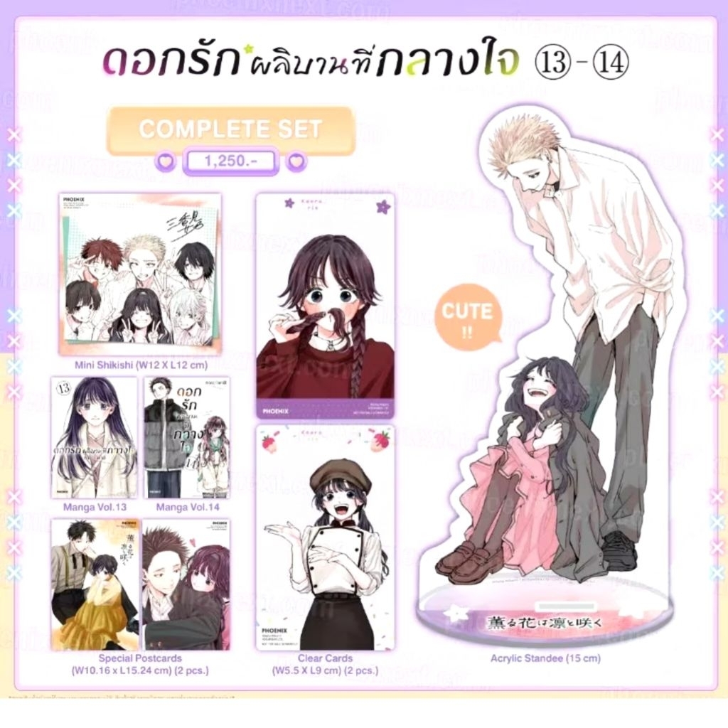 ดอกรักผลิบานที่กลางใจ เล่ม 13-14 Complete Set [มือ1] Phoenix Next