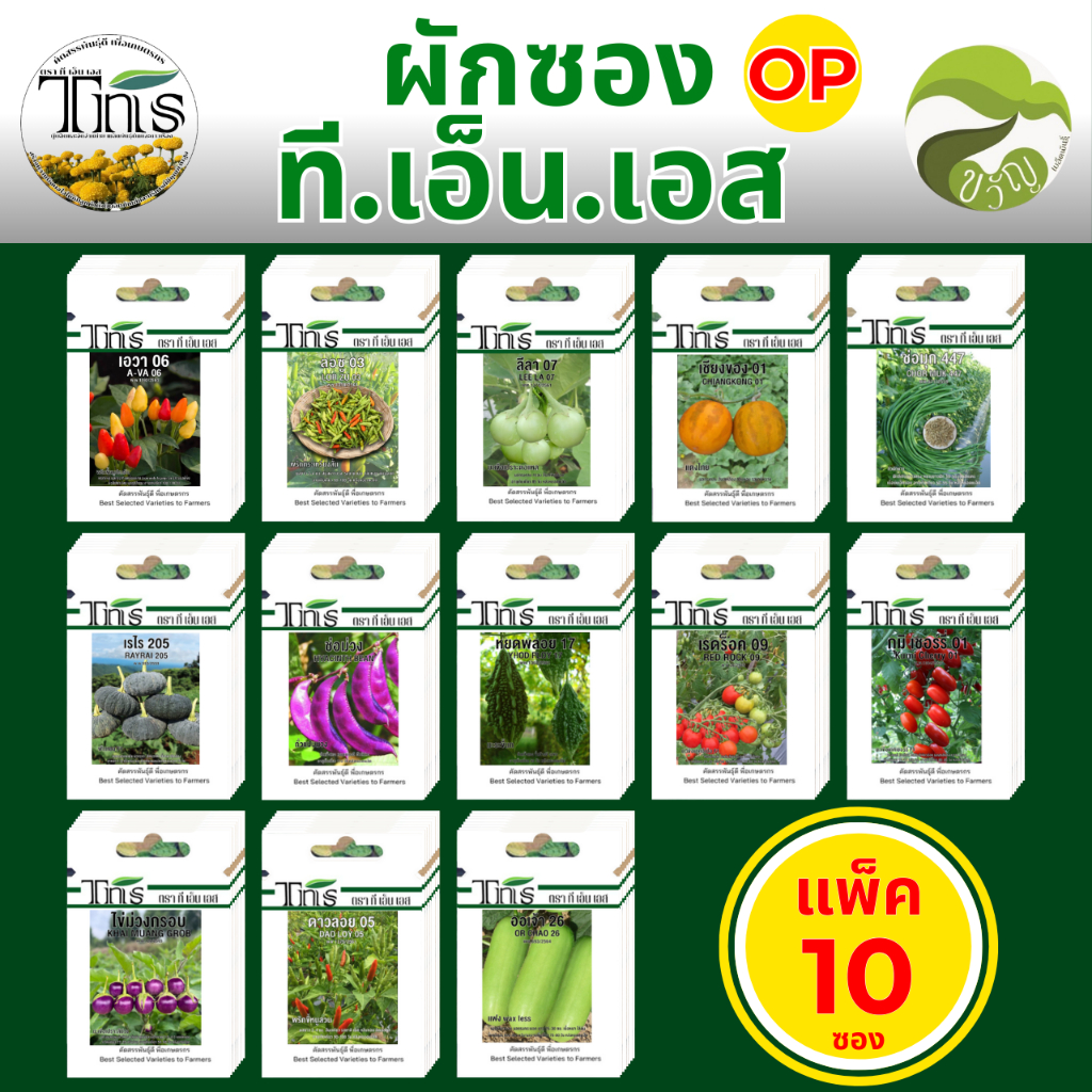 เมล็ดพันธุ์ ผักซอง OP ตรา ที.เอ็น.เอส (TNS) แพ็ค 10 ซอง ราคาเดียว สุดคุ้ม