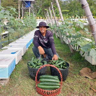 ปุ๋ย AB ชนิดแห้ง 10 ลิตร สูตรเข้มข้น ปลูกได้ 125 กล่อง แถมฟรีถ้วยตวงปุ๋ย+คู่มือ - เกษตรกรรมยั่งยืน