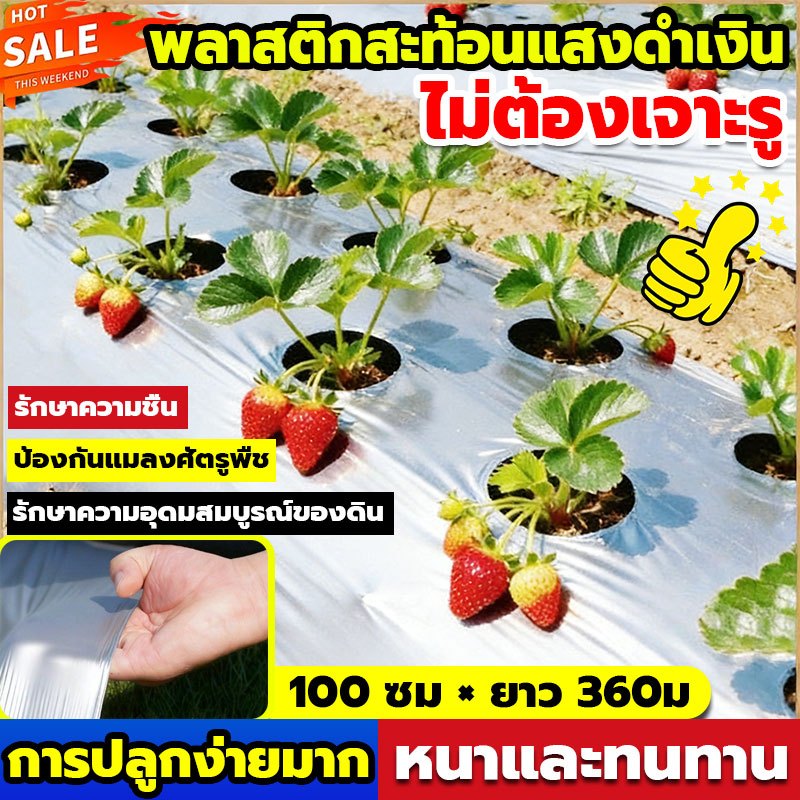 พลาสติกคลุมดิน🌱400หลา พลาสติกคลุมแปลง พลาสติกดำ/เงิน พลาสติกคลุมวัชพืช พลาสติกดำเงิน กันวัชพืช ปลูกผัก ปลูกผลไม้
