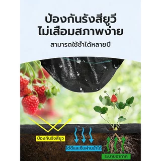 💥เกรด AAA💥 ผ้าคลุมดิน ผ้าคลุมหญ้า พลาสติกคลุมวัชพืช คลุมวัชพืช ผ้าคลุมวัชพืช น้ำซึมผ่านได้ คลุมวัชพืช 50/100m