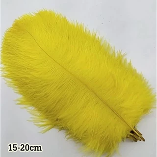 ขนนกกระจอกเทศธรรมชาติย้อมสี ความสูง 15-20cm แบ่งขายแพ็คละ 10 เส้น