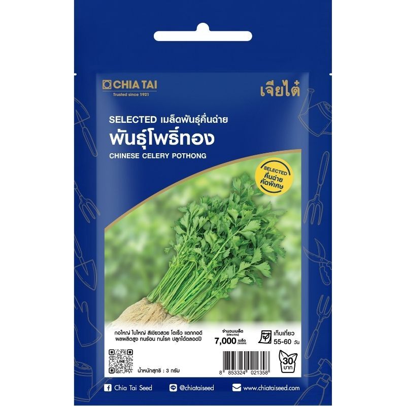 เมล็ดพันธุ์ คื่นฉ่าย โพธิ์ทอง เจียไต๋