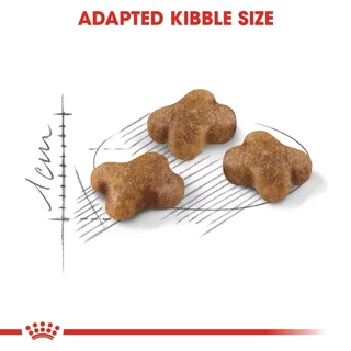 [ 1 กิโลกรัม ] Royal canin อาหารเม็ดแมว เกรดพรีเมี่ยม ถุงซีล ตักแบ่งจากกระสอบ