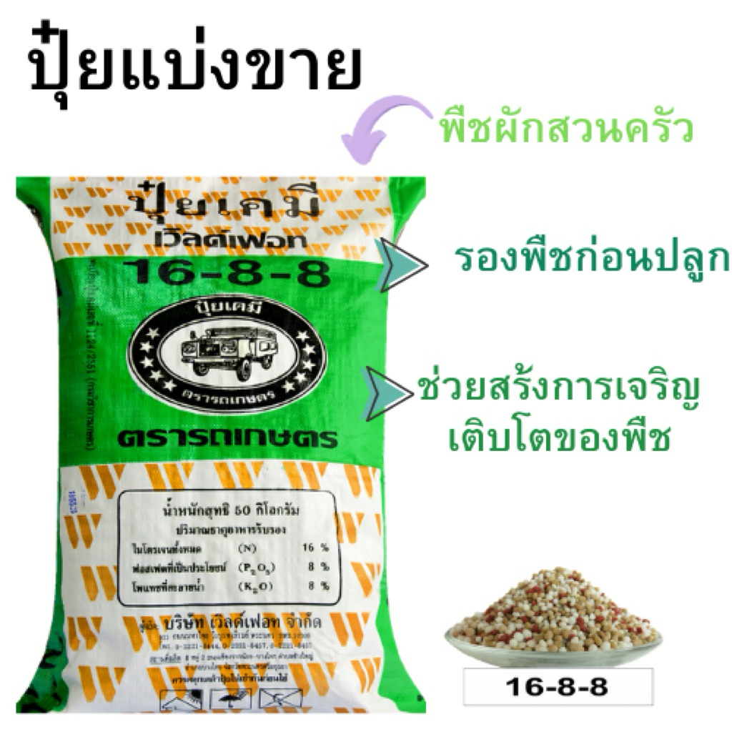 ปุ๋ยแบ่งขาย 16-8-8 อีแต๋น 10-20 กิโลกรัม สูตรรองพื้น