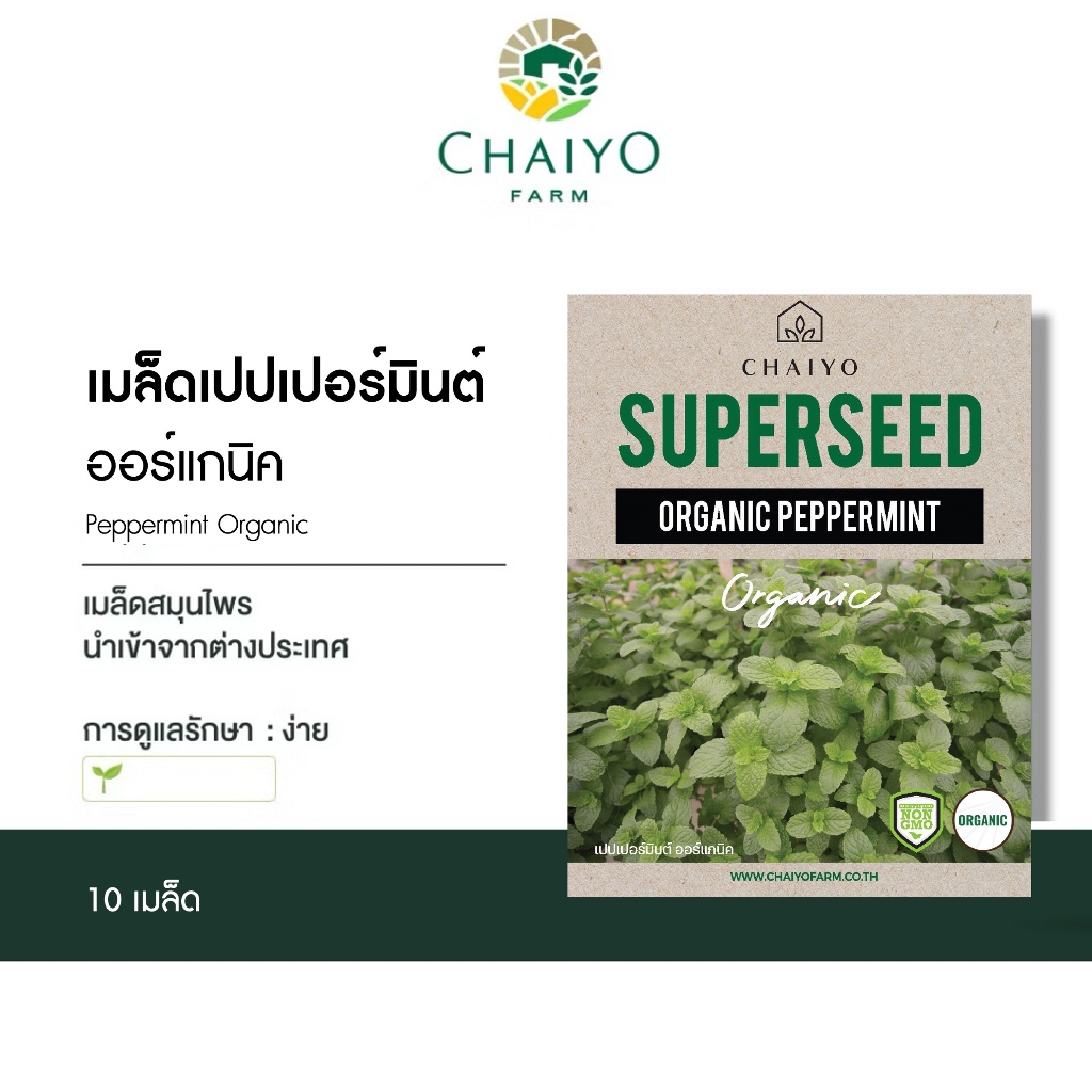 เมล็ด เปปเปอร์มินต์ ออร์แกนิค  Orgnaic PEPPERMINT seed