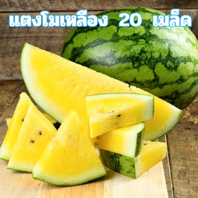 เมล็ดพันธุ์แตงโมเหลือง 20 เมล็ด