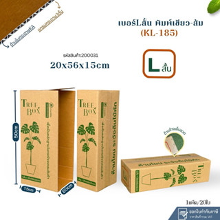 กล่องต้นไม้เบอร์ Lสั้นเขียว-ส้ม(KL185)ขนาด20×56×15cmแพ็คละ20…