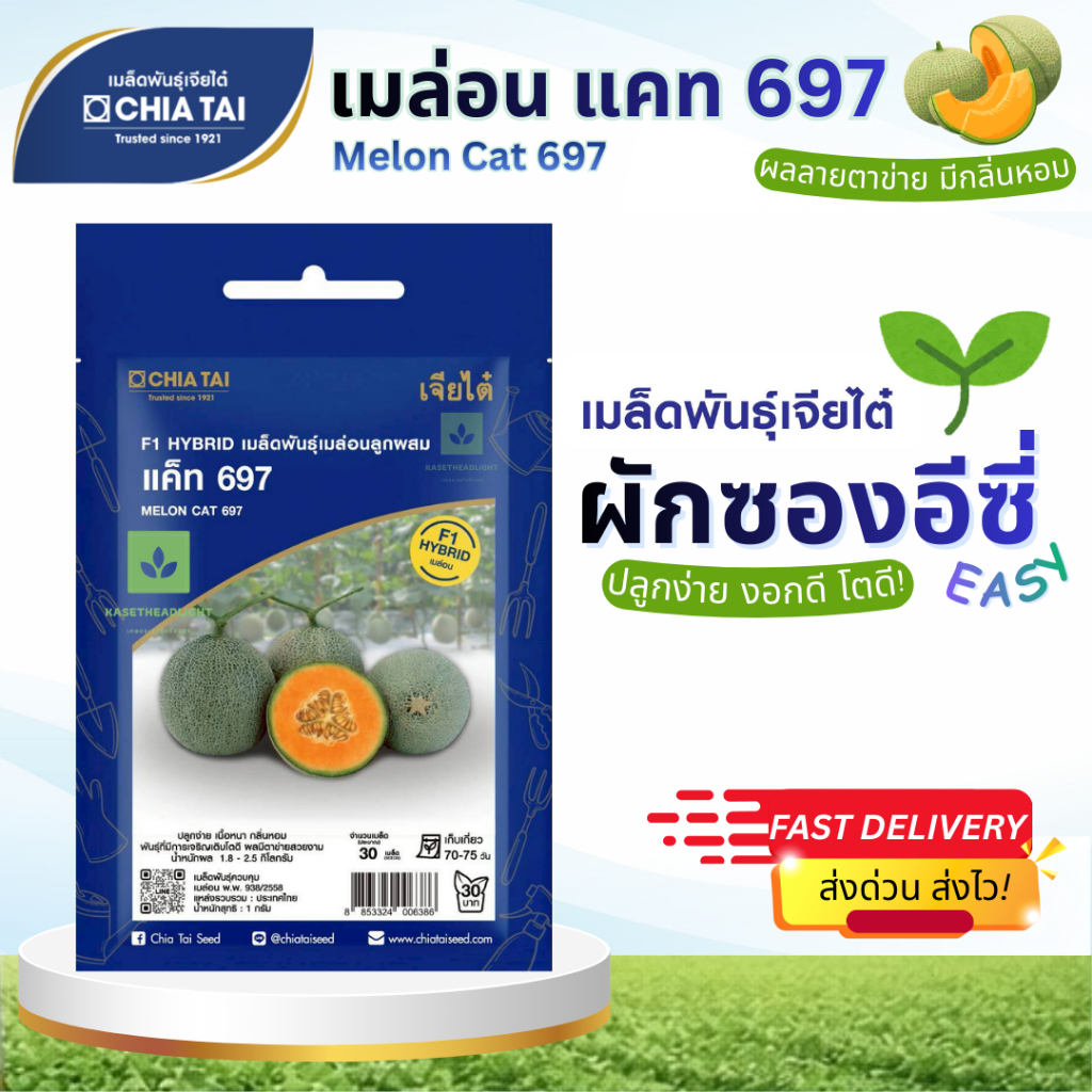 Easy เมล็ดพันธุ์เมล่อน แคท 697 30เมล็ด เจียไต๋ Melon Cat 697