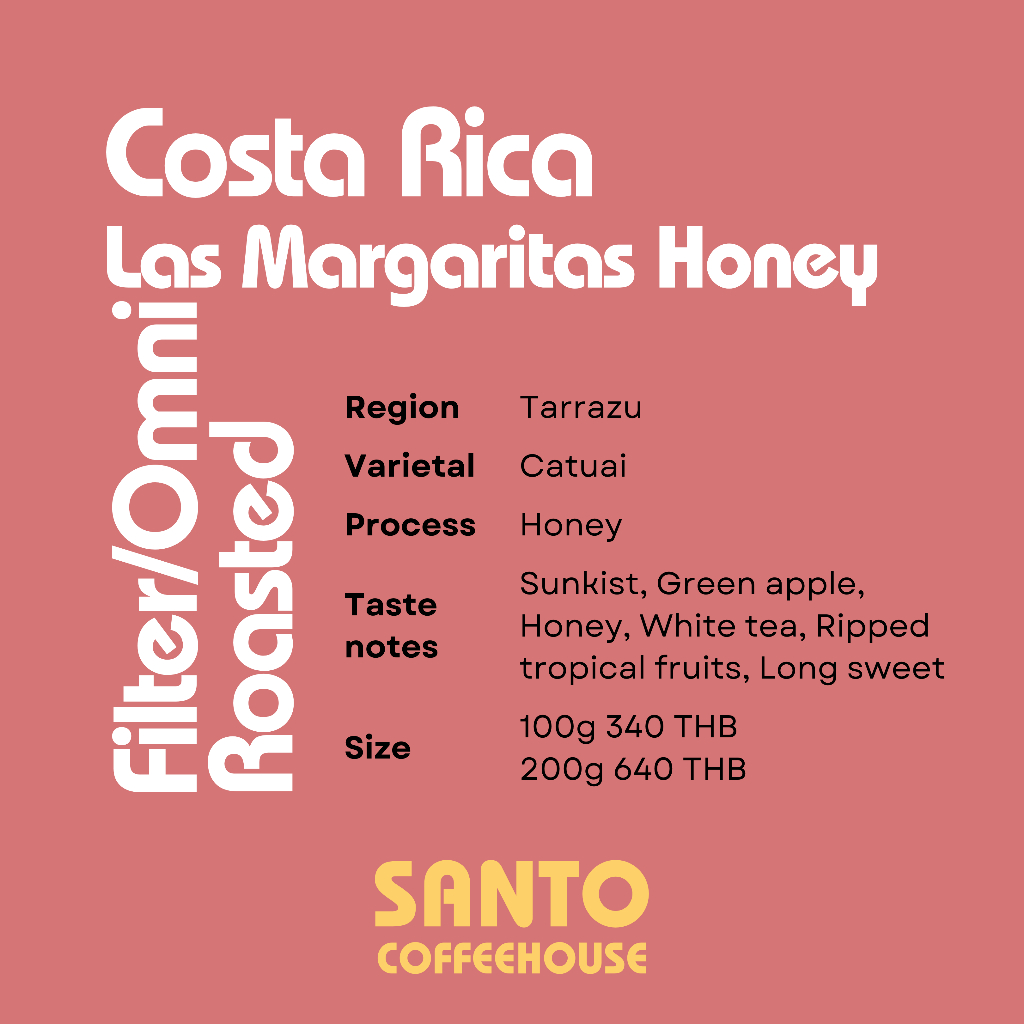 Costa Rica Las Magaritas Honey Process - Filter