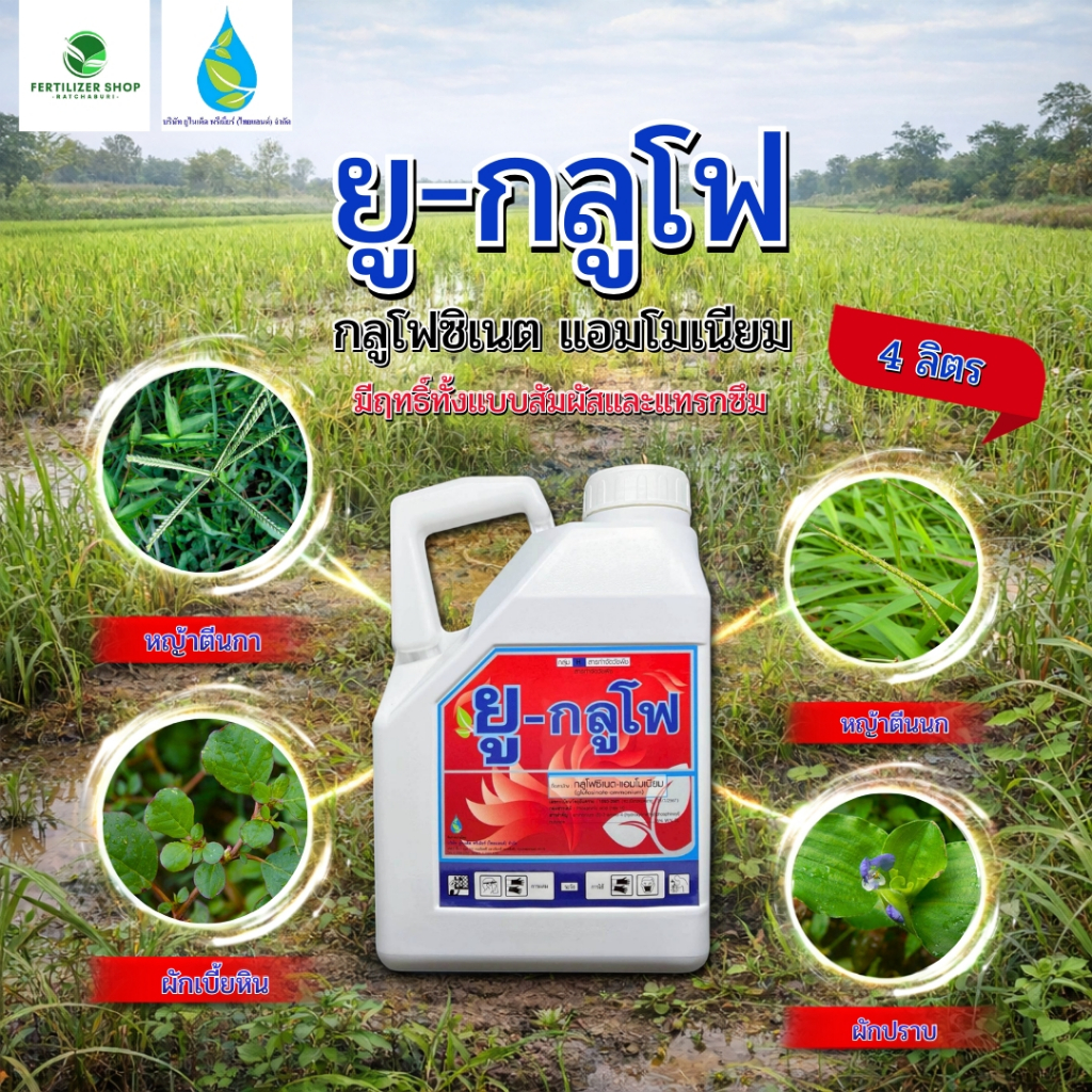 ยู-กลูโฟ กลูโฟสิเนต ใช้กำจัดวัชพืช (ขนาด 4 ลิตร) ยูไนเต็ด
