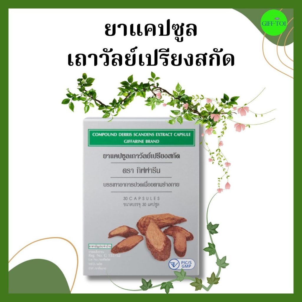 เถาวัลย์เปรียง ปวดตามข้อ ปวดต้นคอ บ่า ไหล่ แขน