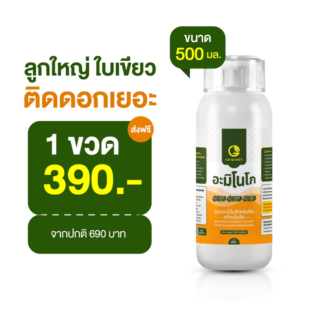 อะมิโนโก: กรดอะมิโน 19 ชนิด บูสต์พืชโตไว ฟื้นฟูต้นโทรม ปลอดภัยออร์แกนิก