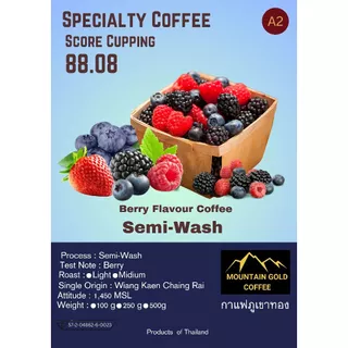 กาเเฟพิเศษคะเเนน 88.08 กลิ่น เบอร์รี่ ( Berry ) ตรา กาเเฟภูเขาทอง Moutain Gold Coffee