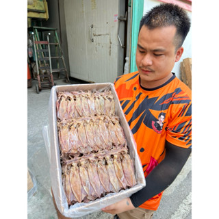 แพไข่สวยไข่เต็มตัวอร่อยไม่ค่อยเค้มขนาดกลางขนาด500กรัม