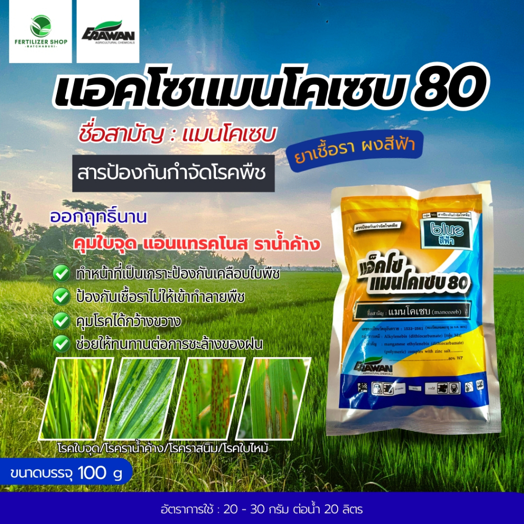 แมนโคเซบ 80% แอคโซแมนโคเซบ สีฟ้า (ขนาด 100g) เอราวัณ