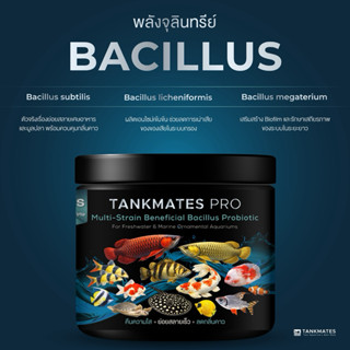 TankMates Pro จุลินทรีย์ตู้ปลา คืนความใส ย่อยสลายเร็ว ลดกลิ่…