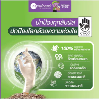 ศรีตรังโกลฟส์ (กล่องเขียว) ถุงมือยาง ธรรมชาติ ไม่มีแป้ง [1 กล่อง/100ชิ้น]