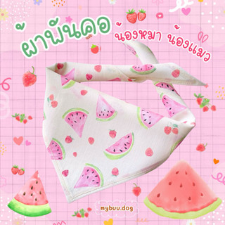 พร้อมส่ง 🇹🇭 ผ้าพันคอสัตว์เลี้ยง แบบผูก Size S ขนาด 40*28*28 …