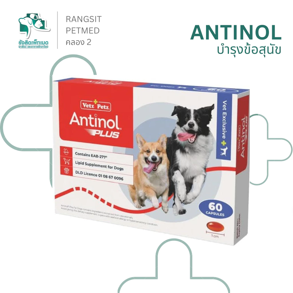 Antinol Dog แอนทินอล อาหารเสริมสุนัข บำรุงข้อ บำรุงข้อต่อ สกัดจากธรรมชาติ (1 กล่อง/60 เม็ด)