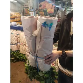กุหลาบไทย ก้านยาว ก้านสั้น แก้บน สีแดง สีชมพู 50 ดอก[ส่งทันทีในวัน⚡]