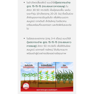 ปุ๋ยเคมี 15-15-15 กระต่าย 1 กิโลกรัม