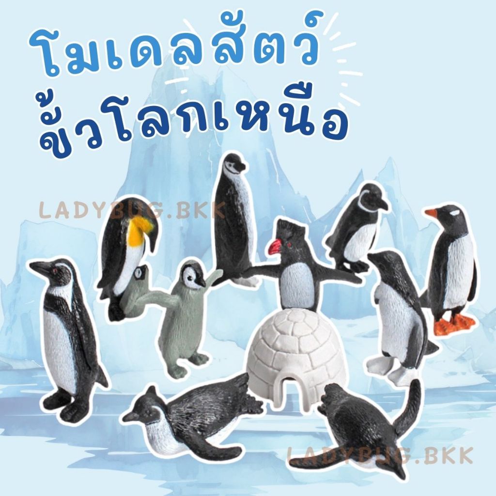 Ladybug โมเดลสัตว์ขั้วโลก โมเดลสัตว์ arctic animals Lgloo พร้อมส่ง Sensory Play