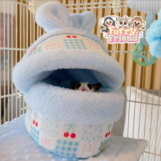 Fluffy Bunny ไซส์ L ชูการ์ไกลเดอร์ บุชเบบี้ ปิ๊กมี่ มาโมเสท …