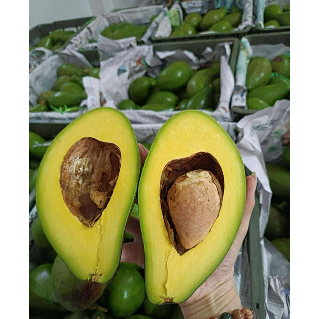 🥑 ขายเป็นลูก อโวคาโด้พื้นเมืองไทย  ขายเป็นลูก