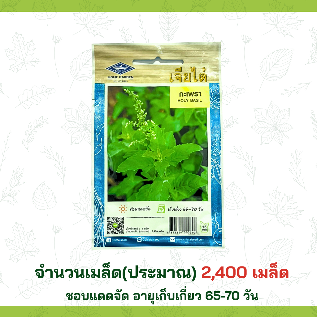 เมล็ดกระเพรา Chia Tai เมล็ดพันธุ์คุณภาพ ปลูกสวนครัว