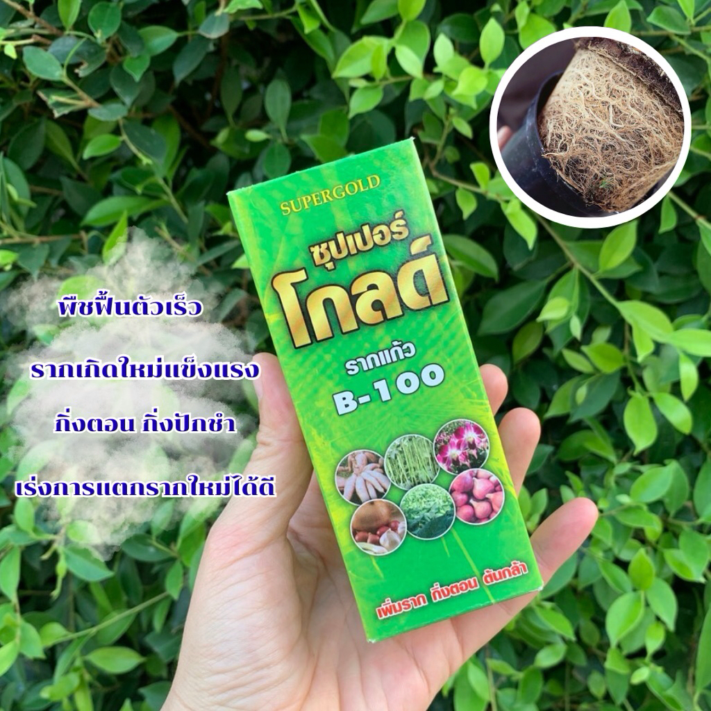 ยาเร่งราก[พร้องส่ง-ส่งไว]ขนาด100ml. แช่แค่ 15-30 นาที รากออกไว ตอนกิ่ง ปักชำ เร่งฟืนตัว รากแตกดี🍃