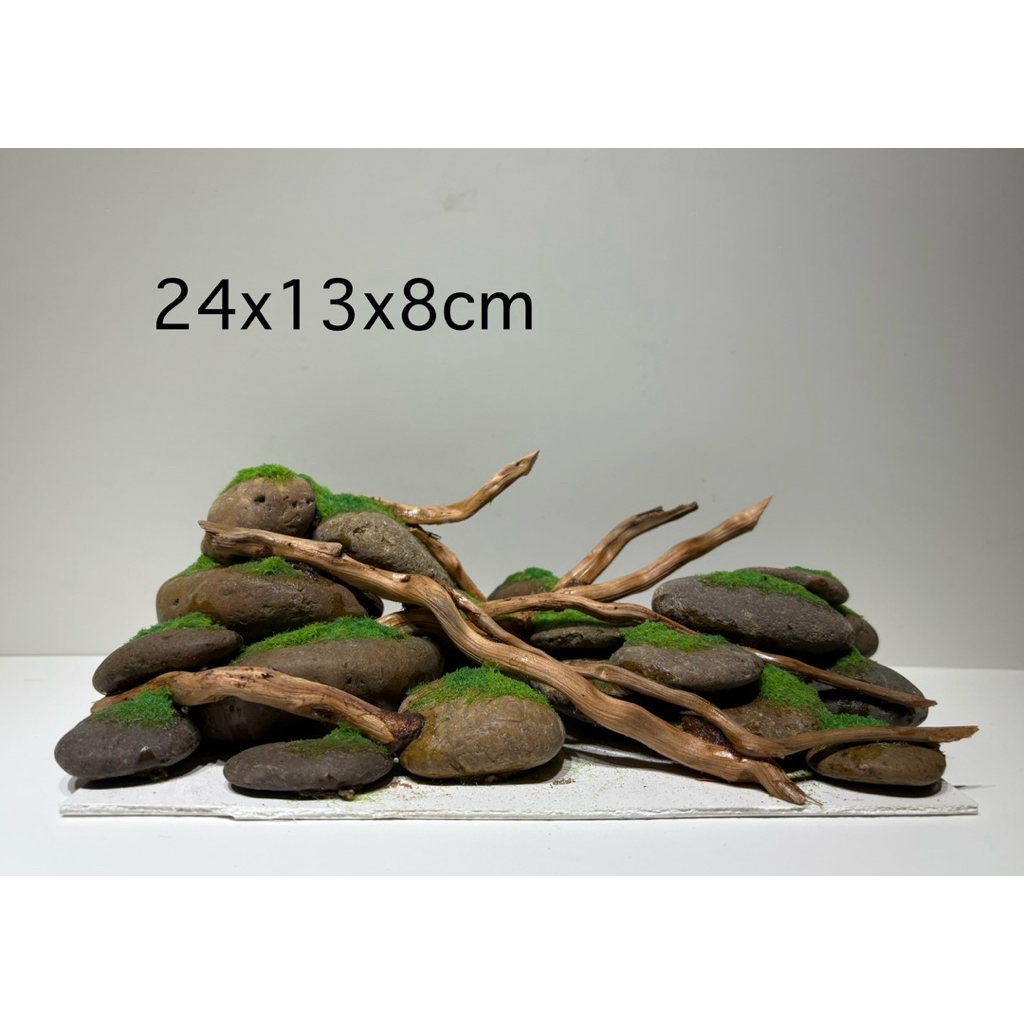 Layout เลย์เอ้าท์ราคาถูก ตกแต่งตู้ปลา ราคาสบายกระเป๋า