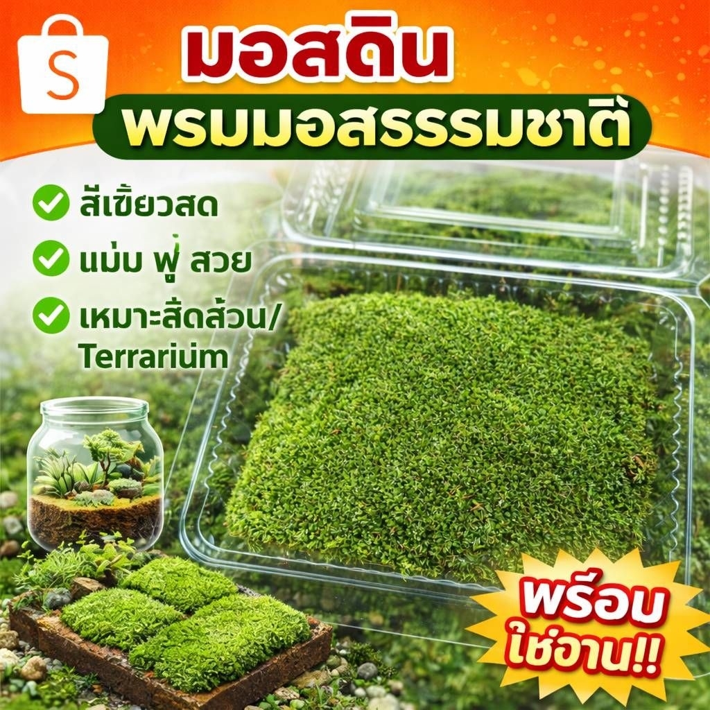 มอสสด มอสดินธรรมชาติสะอาดเกรดคัดพรีเมี่ยม