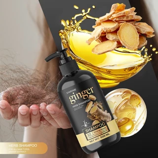 ์NAPA ginger Herb Shampoo ยาสระผมขิง ลดผมขาดหลุดร่วง แก้ปัญหาหนังศีรษะขนาด 500ML