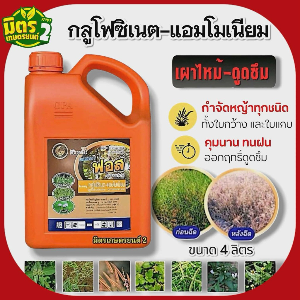 แอสตร้าฟอส(กลูโฟซิเนต15)น้ำฟ้า สูตรเผาไหม้ไว ขนาด4ลิตร ปราบวัชพืชในนา ในสวน ในไร่ ทั้งใบแคบใบกว้างทุกชนิด