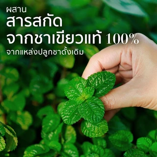 เฮอร์บัล เอสเซนส์ ครีมนวดผม ดีทอกซ์ แอนด์ ชายน์ กรีน ที แอนด์ มินต์ แฮร์แคร์ 400 มล.