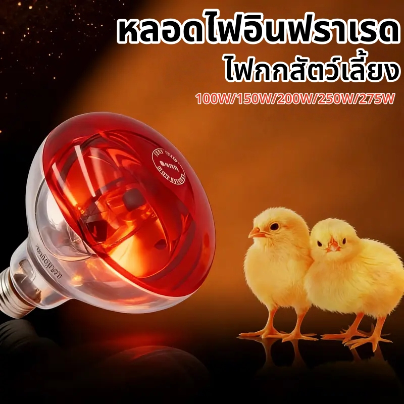 【HS】พร้อมส่ง หลอดไฟอินฟาเรด 100W-275W แบบหนาพิเศษ กันระเบิด กันน้ำ ทนความร้อนสูง ไฟกกหมู ไฟกกไก่ สัตว์เลี้ยง MC-M-100