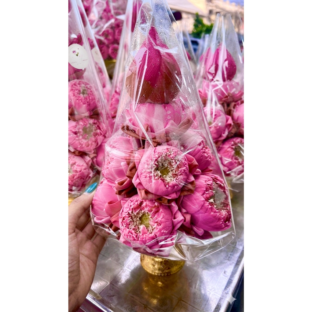 พานดอกบัว พานบัวฉัตร (สีขาว สีชมพู) | 1 พาน ดอกบัวไหว้พระ ดอกบัวพับ ไหว้พระ ทำบุญ | พร้อมใช้ / คัดสด / งานพับ