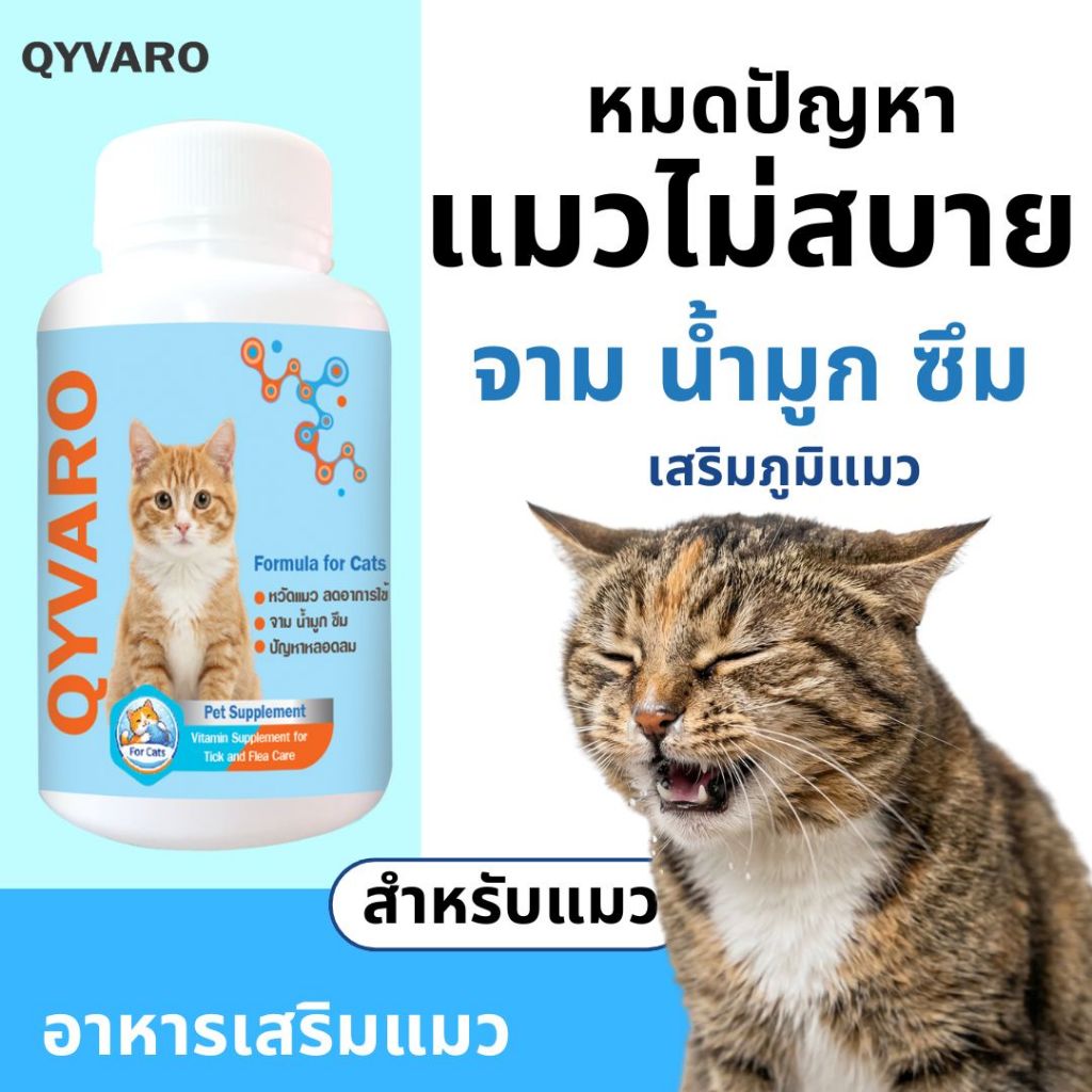 เสริมอาหารแมว แมวไม่สบาย แมวป่วย จาม แมวเบื่ออาหาร