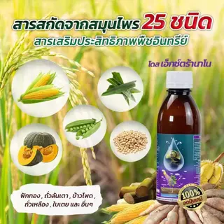 โดสเอ็กซ์ตร้านาโน โดส Dose Extra Nano ฮอร์โมนพืช เร่งต้น เร่งผล เร่งโต เพิ่มผลผลิต