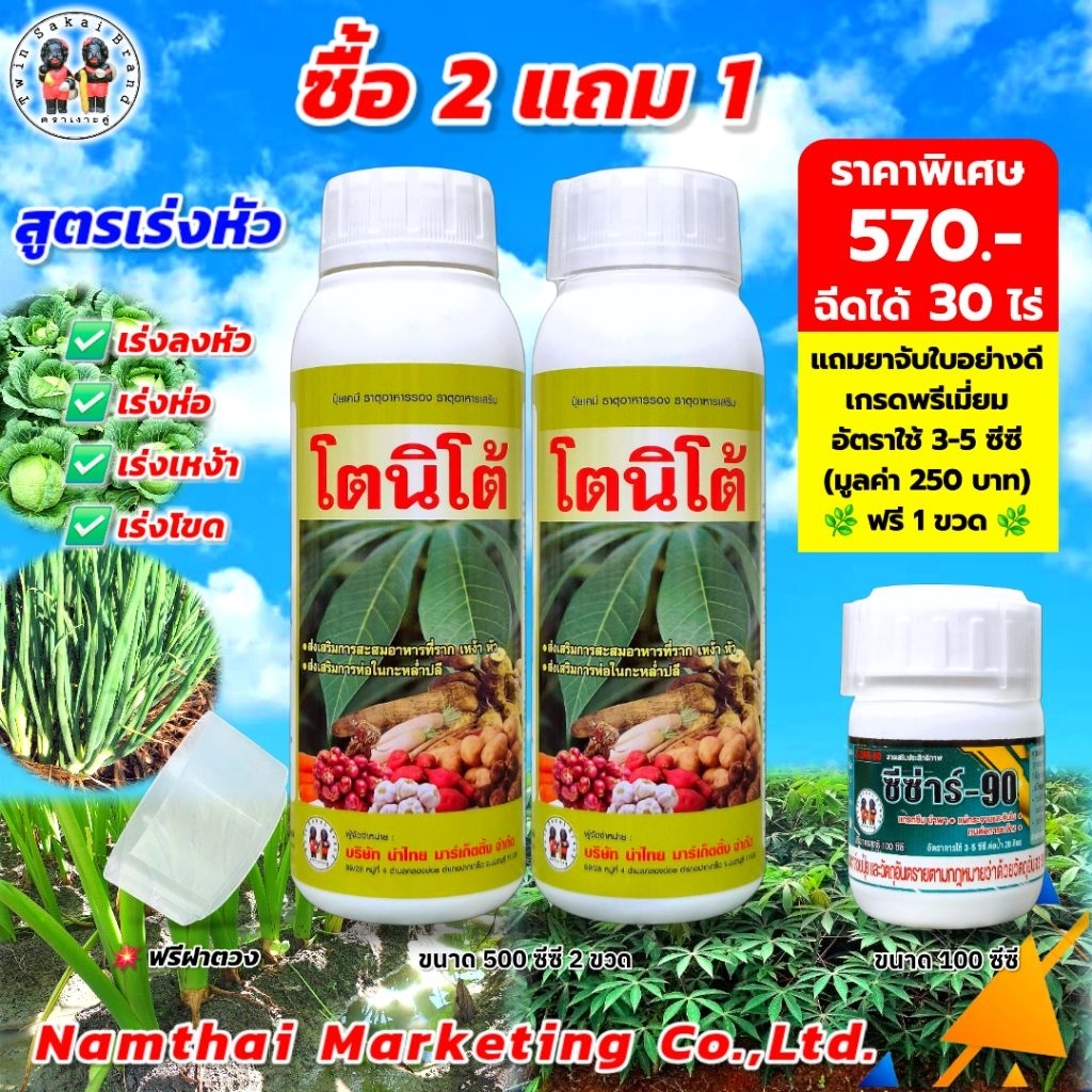 ตราเงาะคู่ โตนิโต้ เร่งหัว เร่งห่อ เร่งเหง้า เร่งลงหัวมัน หอม กระเทียม [2 แถม 1]