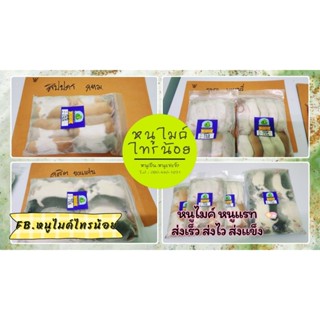 🐁หนูไมค์แช่แข็ง 🐀หนูแช่ แพ็ค 10 ตัว พร้อมส่ง&ส่งรถขนส่งแช่แข…