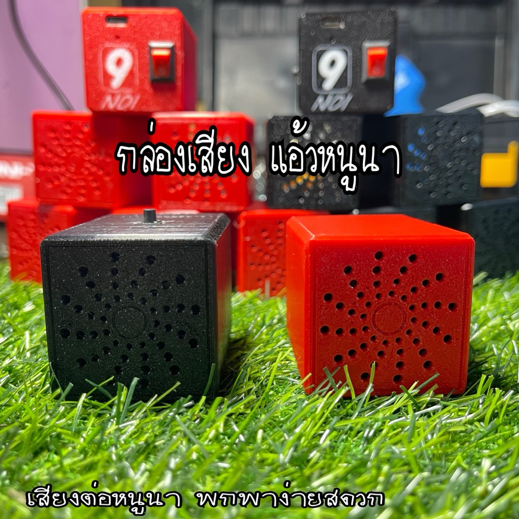 กล่องเสียงแอ้วหนูนา ล่อหนูนา