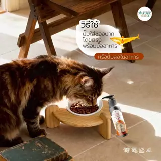 Nature Plus : NAS SPRAY ผลิตภัณฑ์ปั๊มปาก บำรุงสุขภาพโดยรวม สำหรับ สุนัข แมว
