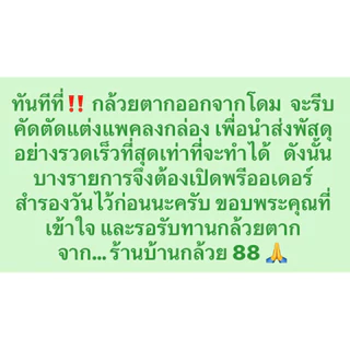 กล้วยตาก สติ๊ก 🅰️ 🅰️ ราคาส่งยกถุง 3 กิโลกรัม เส้นสวยตรงปก กล้วยนิ่ม หวานน้อย อร่อย สูตรเฉพาะของร้านเราเองค่ะ👍