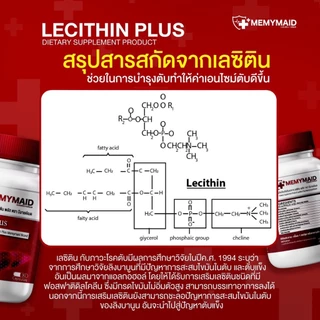 [โปรทดลอง1แถม2] 90 เเคปซูล MEMYMAID Lecitin Plus เลซิตินพลัส ดูแลเรื่องตับ