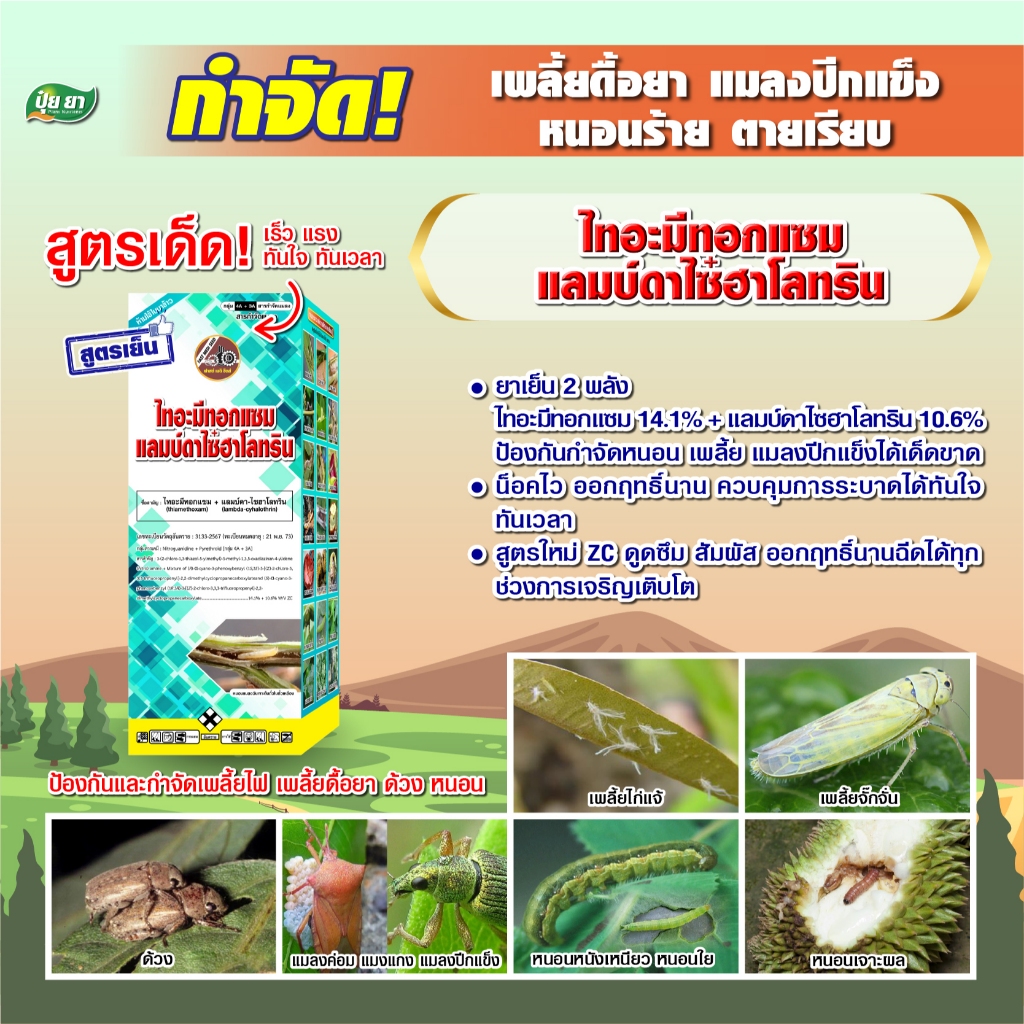 กำจัด เพลี้ยไก่แจ้ เพลี้ยจักจั่น ด้วง แมงค่อมทอง แมงแคง หนอนกินใบ หนอนเจาะผล ไทอะมีทอกแซม + แลมป์ดาไซฮาโลทริน สูตรเย็น
