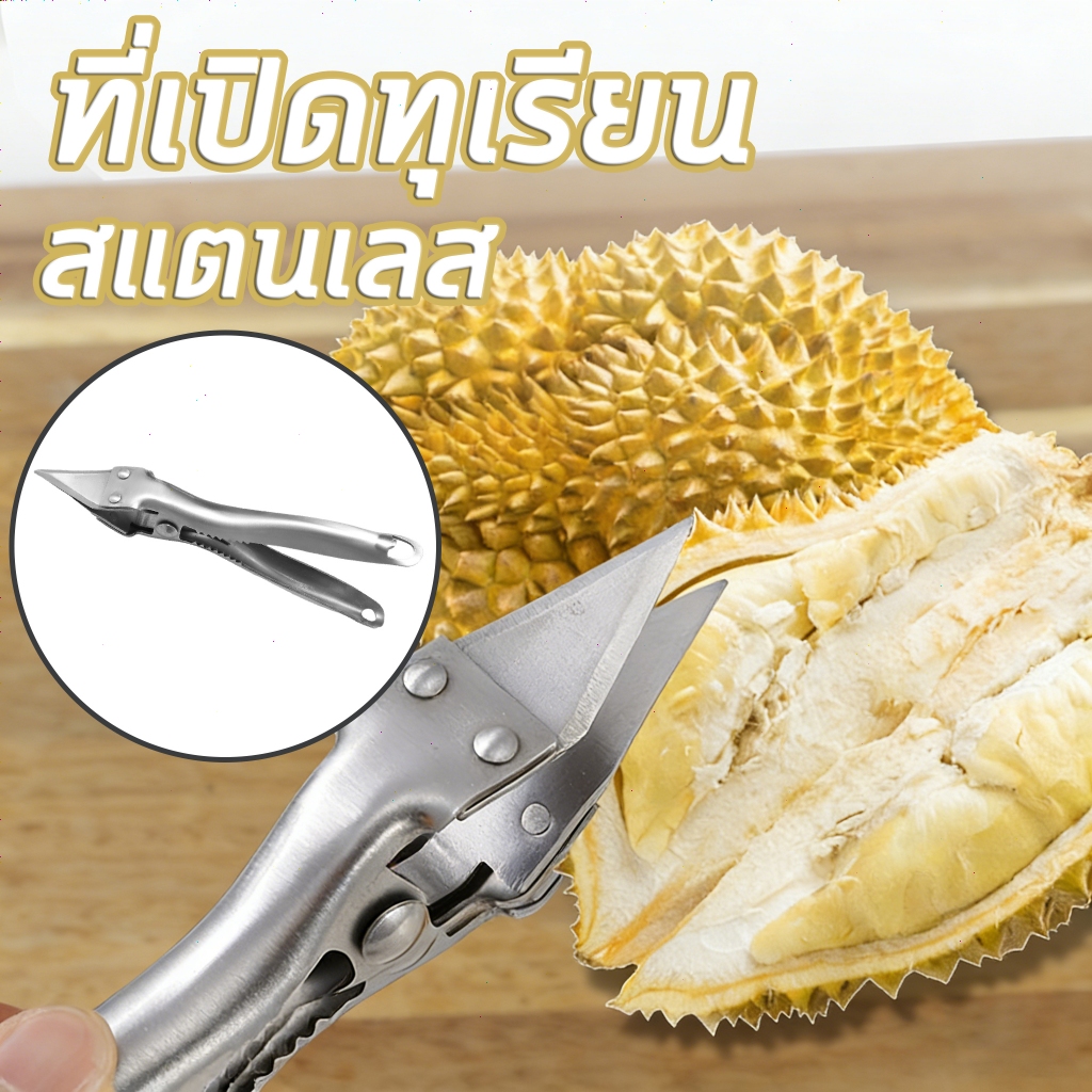 ที่เปิดเปลือกทุเรียน คีมเปิดทุเรียน ไขว้แยกเนื้อทุเรียน ที่เปิดหอย ปลอดภัย ไม่บาดมือ สำหรับใช้ในครัวเรือน Durian Opener